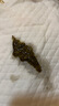 五月花扫把簸箕套装魔术扫把三件套刮水器地刮板站立梳齿型扫帚大扫除 实拍图