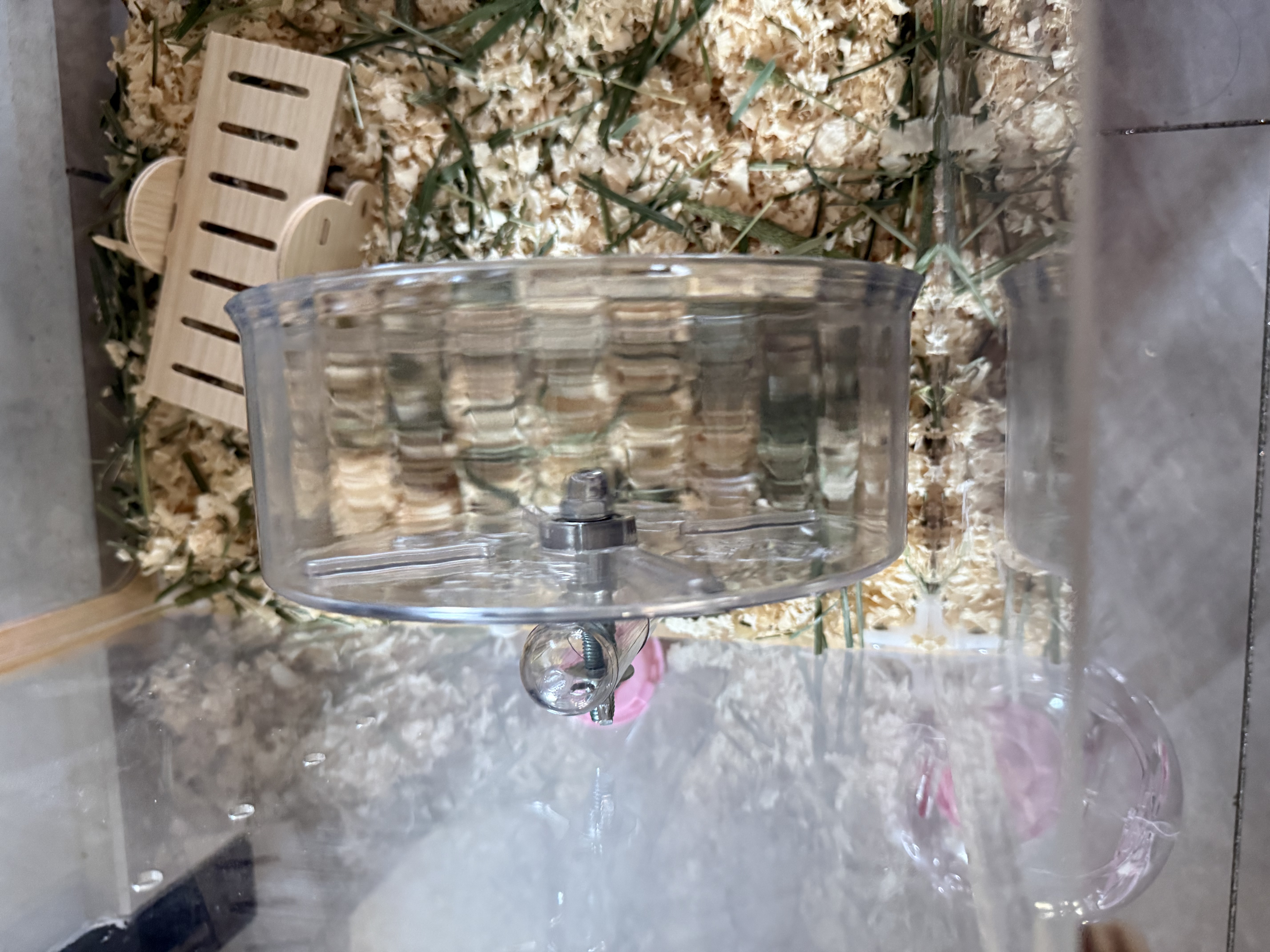 比克熊 仓鼠跑轮+支架安静无噪音双轴承运动玩具用品透明色18cm 实拍图