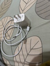 固质苹果17充电器适配原装正品40W/60W动态快充头iphone15/16promax/编织120W充电线type-c数据线插头 【直营正品】苹果Type-C闪充编织线-1米 实拍图