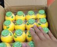 金豆芽儿童金银花柚子汁155ml*16瓶夏天孩子饮料宝宝果汁西柚汁 实拍图
