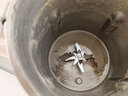 苏泊尔（SUPOR）豆浆机轻音破壁机新款1.2L全自动免煮免滤家用多功能2-4人用预约时间细腻免滤料理机DJ12B-P118 实拍图