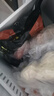 天莱香牛有机健康牛腿肉500g可溯源低温排酸生鲜牛肉新疆清真【真原切】 实拍图