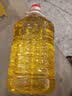 金龙鱼 食用油 非转基因 压榨 一级 纯正玉米油4L（新老包装随机发货） 实拍图