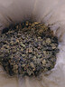 印象堂茶叶 2026安溪新茶铁观音清香型正宗乌龙茶罐装100g 实拍图