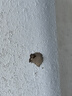 百士安 防爆灯LED三防灯 隔爆型工厂仓库照明灯高亮防爆吊灯100W 实拍图