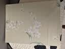 罗莱家纺 学生宿舍床上三件套100%纯棉公主风床单被套单人套件 150*215cm 实拍图
