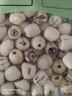 十月稻田 莲子 250g 半斤 湘潭产去芯磨皮白莲子 桂圆百合银耳羹煲汤食材  实拍图