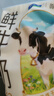 君乐宝鲜牛奶 哞小鲜180ml*12袋  生牛乳纯牛奶儿童营养早餐低温牛奶 实拍图