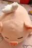 名创优品（MINISO）小猪B-BO翅膀款趴毛绒公仔玩具玩偶抱枕娃娃靠枕生日礼物女 实拍图