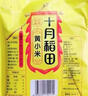 十月稻田 赤峰小米 1kg 内蒙古敖汉旗 黄小米杂粮 小米黄小米 新米 早 实拍图