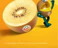 佳沛（zespri）新西兰阳光金奇异果10粒巨大果单果146-175g 猕猴桃水果礼盒 实拍图