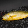 三都港 冷冻黄花鱼700g/2条装 宁德大黄鱼 深海鱼 生鲜 鱼类 海鲜水产 实拍图