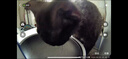 小佩宠物AI智能自动喂食器可视版2 定时定量 猫脸识别(支持鸿蒙智联) 实拍图