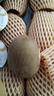 佳沛（zespri）新西兰 阳光金奇异果12粒特大果单果124-146g 猕猴桃水果礼盒 实拍图