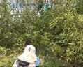 卡尔美（KELME）儿童防晒帽遮阳帽子夏季防紫外线男女童披风大帽檐海边沙滩太阳帽 实拍图
