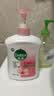 滴露（Dettol）洗手液抑菌消毒滋润500g+500g 补充装 儿童家庭护手替换装 实拍图