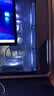 华硕锐龙9800X3D主机RTX5070Ti/5080/5090主机 千帧电竞rog全家桶 9850X3D主机游戏台式机组装电脑整机 锐龙7 9800X3D+RTX5070Ti丨配置四 晒单实拍图