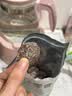 俏美味盐津李饼500g 无核果脯蜜饯果干酸梅干李梅肉休闲孕妇零食 实拍图