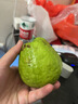 德运（Devondale）全脂成人奶粉1kg袋装调制乳粉儿童学生奶粉澳洲原装进口高钙 实拍图