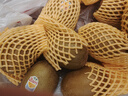 佳沛（zespri）新西兰阳光金奇异果10粒巨大果单果146-175g 猕猴桃水果礼盒 实拍图