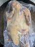 温氏供港鲜熟白切鸡1.8斤 冷冻食品 110天农家散养土鸡白斩鸡熟食 实拍图