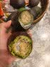 正宗进口秘鲁哈斯牛油果孕妇水果宝宝辅食进口鳄梨整箱批发价 6个装 单果净重160-190克 实拍图