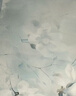 京东京造1000D冰丝席可水洗机洗A类抑菌双人夏天席子凉感凉席三件套1.8x2m 实拍图