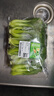 七鲜24小时油菜苗250g(长度≤17cm) 实拍图