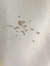 锦中医扁平疣专用祛去疣疣体脱落膏丝状疣瘊灵去除脖子小肉粒药膏 实拍图