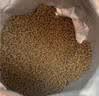 朗亲猫干粮全价成猫专用蓝猫布偶美短通用型鱼肉味猫粮10kg 实拍图