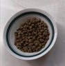 麦富迪狗粮 藻趣儿狗粮成犬粮牛肉螺旋藻 均衡营养15kg/30斤 实拍图