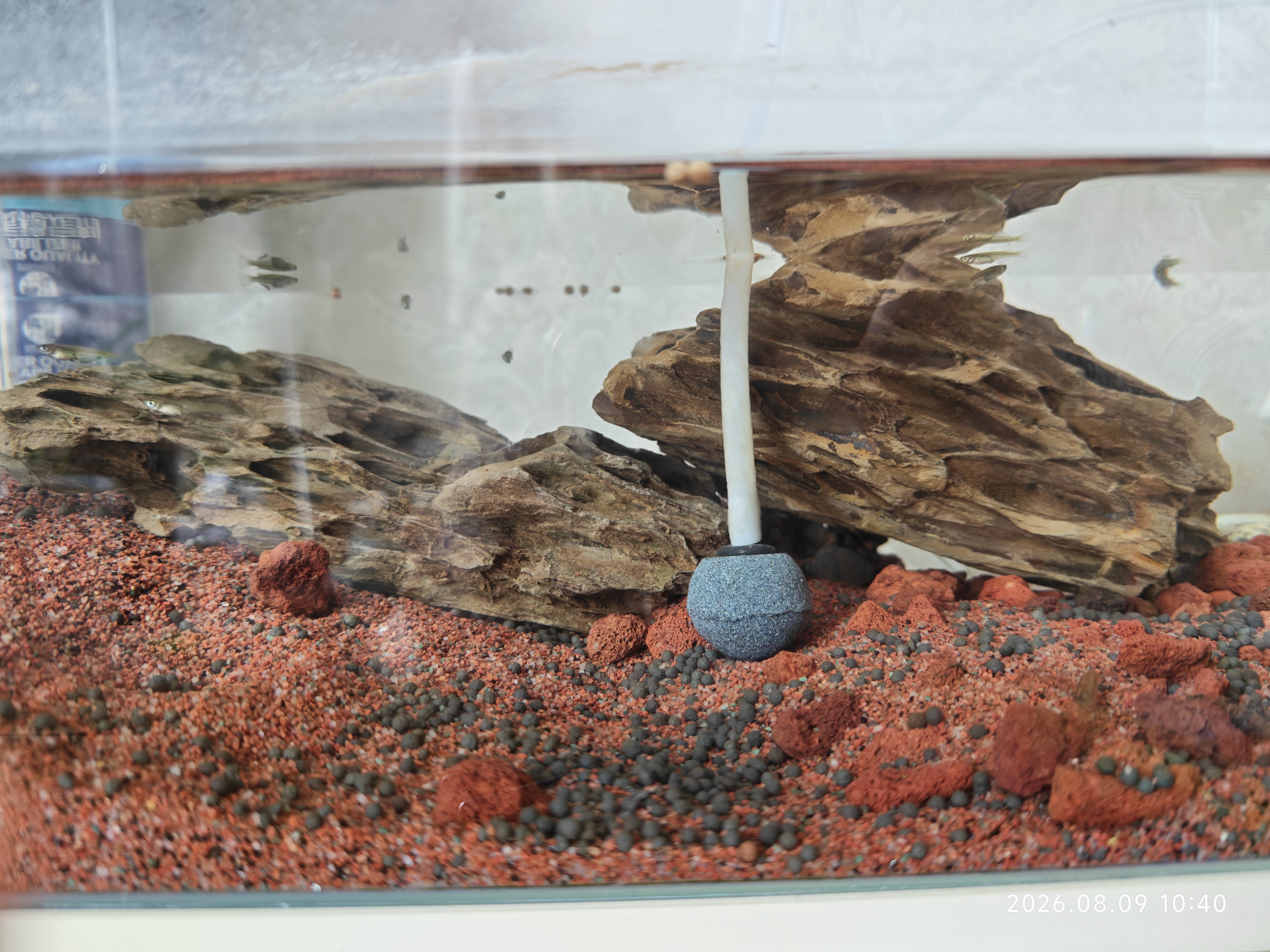 森森鱼缸增氧泵水族箱氧气泵LQE-100家用小型充氧泵4W单孔+全套配件 实拍图