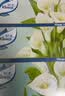 舒洁（Kleenex）抽纸马蹄莲盒装纸抽2层200抽*3盒纸巾抽纸卫生纸餐巾纸擦手纸 实拍图