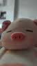 名创优品（MINISO）小猪B-BO弹力超柔趴姿公仔毛绒玩偶儿童玩具抱枕靠枕生日礼物女 实拍图