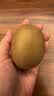 佳沛（zespri）新西兰 阳光金奇异果12粒特大果单果124-146g 猕猴桃水果礼盒 实拍图