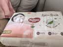 好奇（Huggies）铂金装小桃裤成长裤L120片(9-14kg)尿不湿拉拉裤【夏季散热王】 实拍图