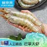 鲜京采 厄瓜多尔白虾 净重3斤/盒 特大号20-30规格   30-45只/盒 实拍图