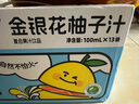 金豆芽金银花柚子汁儿童果汁饮品送礼盒装夏天户外饮料100ml*13袋 实拍图