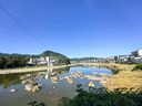 十月稻田 有机赤峰小米 5斤 内蒙古敖汉 小米黄小米 有机小米 早餐粥 实拍图