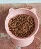 皇家BS34英国短毛猫通用成猫粮2kg 赠OM深海鱼虾猫粮 实拍图