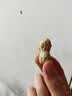 浦之灵农家五谷丰登1kg 贝贝南瓜铁棍山药毛豆花生红薯加热即食冷冻蔬菜 实拍图