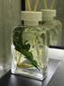 点氛无火香薰精油室内持久香氛高级香水无火家用房间卫生间客厅专用 【青柠柑橘】鲜活柑橘香·200mL 实拍图