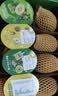 佳沛（zespri）新西兰阳光金奇异果巨大果22粒原箱单果146-175g 猕猴桃水果礼盒 实拍图
