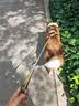 网易严选犬粮 全价高鲜肉冻干双拼幼犬成犬中大型狗粮通用 10kg 实拍图
