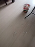 【京东物流】茶壶套装整套茶具大容量玻璃茶杯带滤网耐高温泡茶具 1000ML一壶+四杯套装【无茶盘】 实拍图