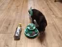 欢宠网猫玩具猫咪转盘逗猫棒羽毛自嗨神器解闷球猫抓板猫猫幼猫小猫宠物 实拍图