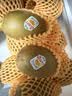 佳沛（zespri）新西兰 阳光金奇异果12粒特大果单果124-146g 猕猴桃水果礼盒 实拍图