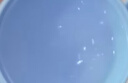 小浣熊 积雪草舒缓冰沙霜 夏季四季可用儿童面霜 急缓晒红保湿水水霜50g 实拍图