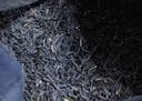 祥源茶祁门红茶祁红香螺特级正宗50g罐装茶叶自己喝教师节中秋送礼物品 实拍图