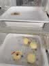 港荣蒸蛋糕奶香900g面包零食饼干西式糕点甜品零食下午茶独立小包装 实拍图